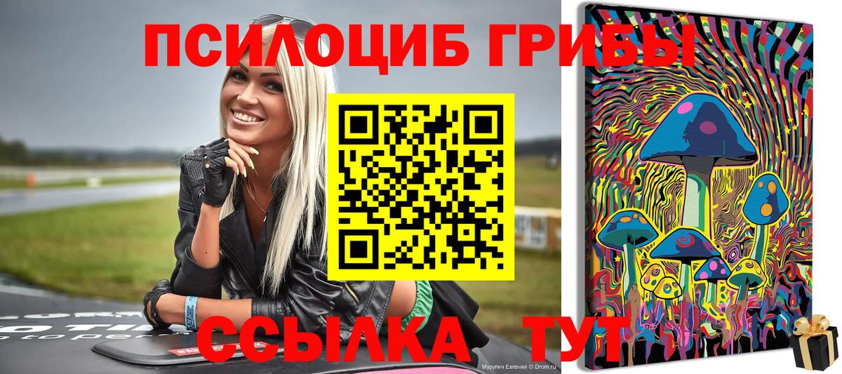 Псилоцибиновые грибы мухоморы  Вход с VPN  Галлюциногенные грибы мухоморы  Светлоград 